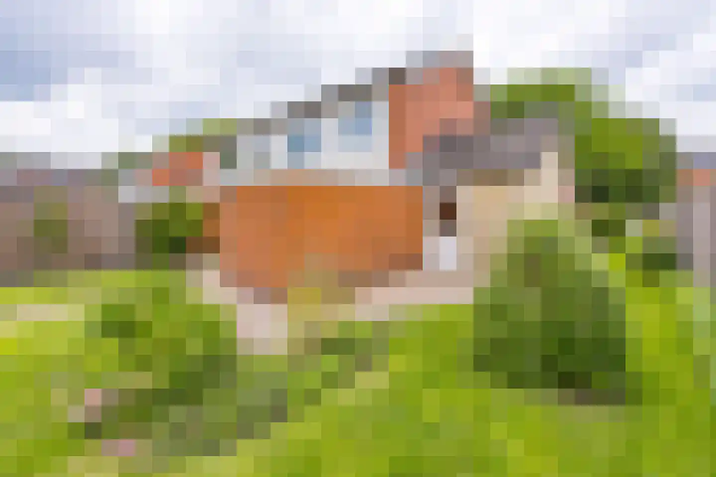 Leeuwerik 29 Ter Apel thumbnail 6