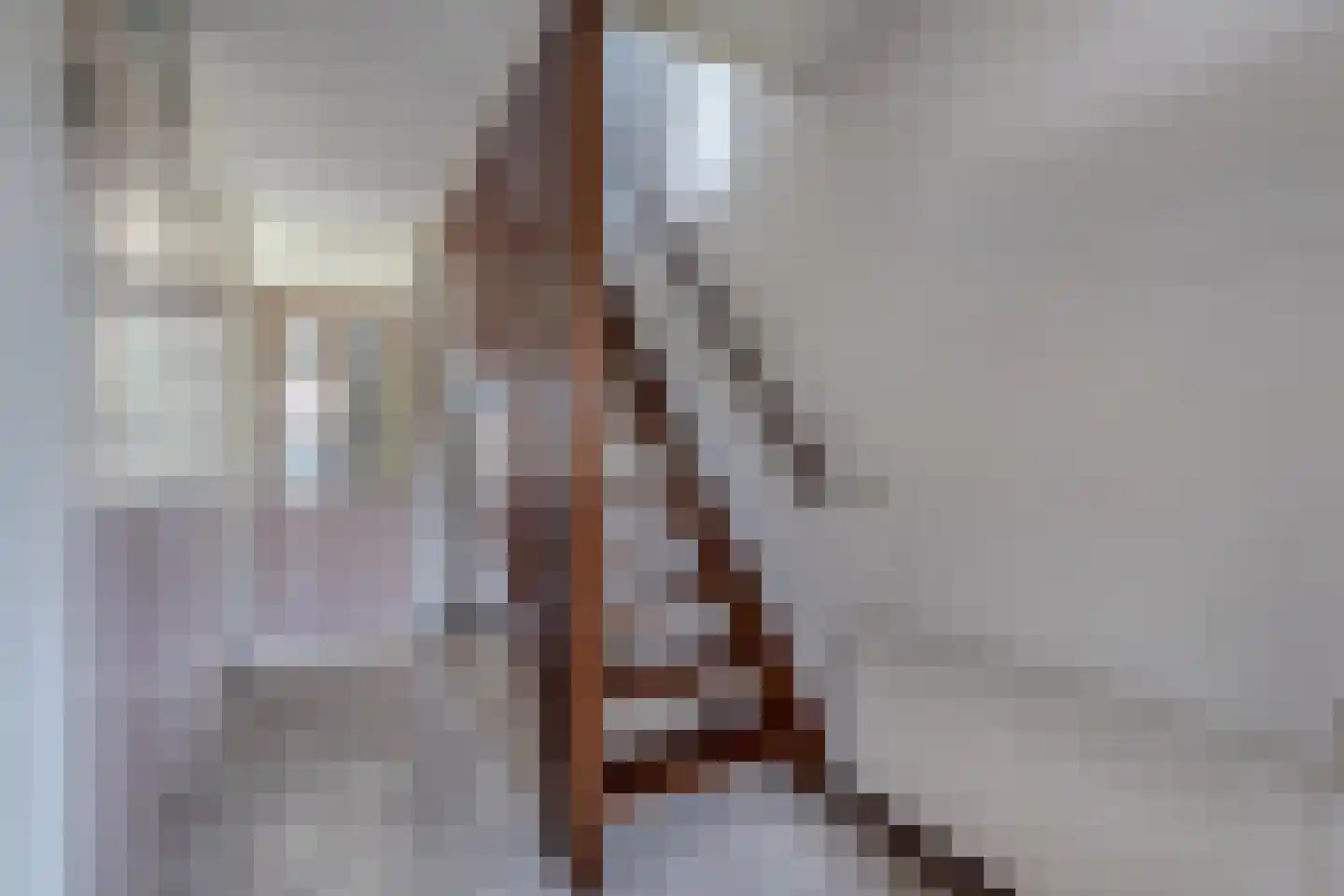 Leeuwerik 3 Lemmer thumbnail 10