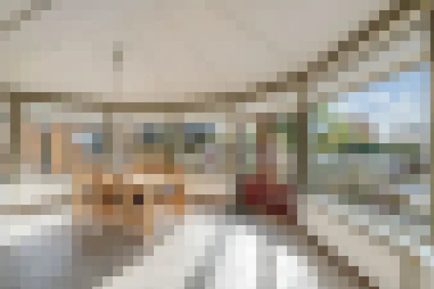 Leeuwerik 3 Lemmer thumbnail 13