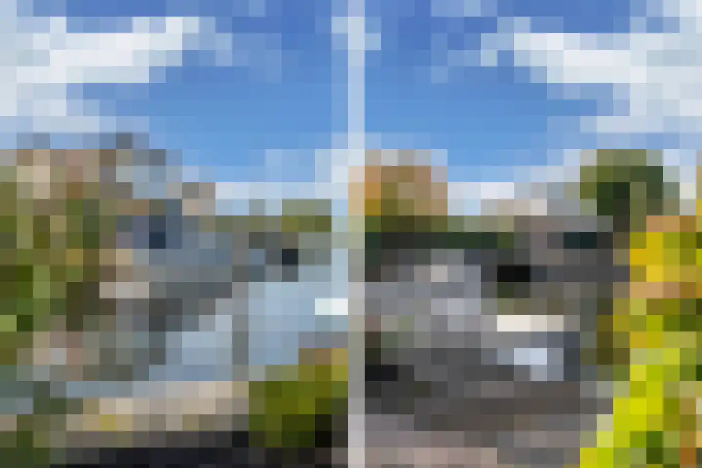 Leeuwerik 3 Lemmer thumbnail 26