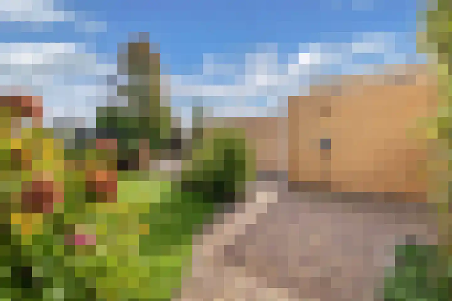 Leeuwerik 3 Lemmer thumbnail 8