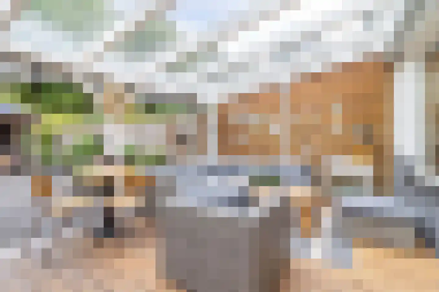 Leeuwerik 31 Bunschoten-Spakenburg thumbnail 35