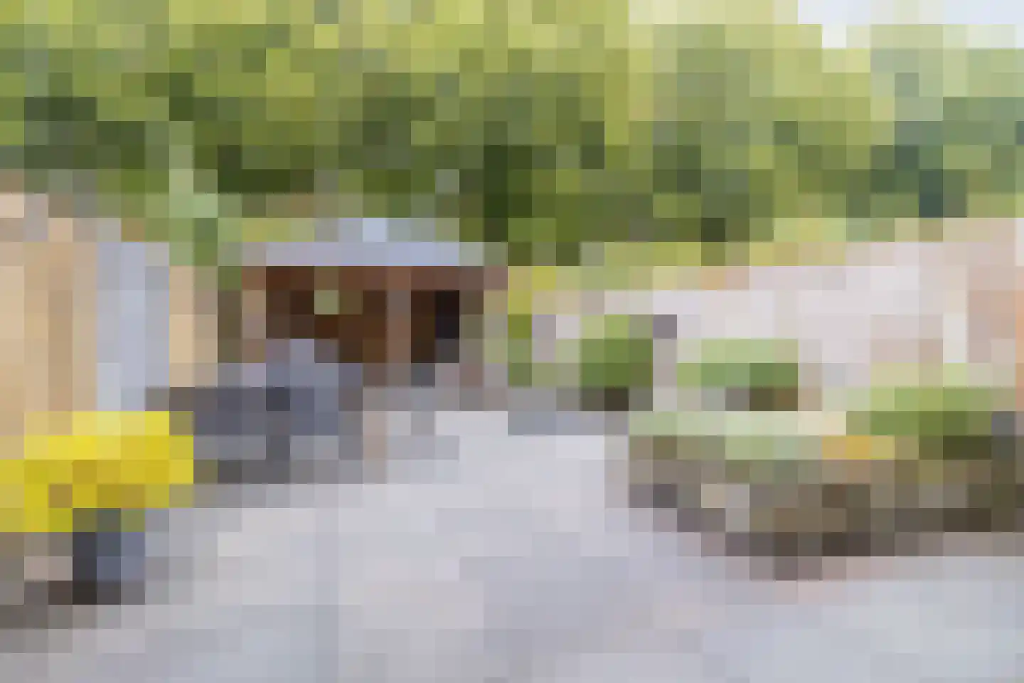 Leeuwerik 31 Bunschoten-Spakenburg thumbnail 36