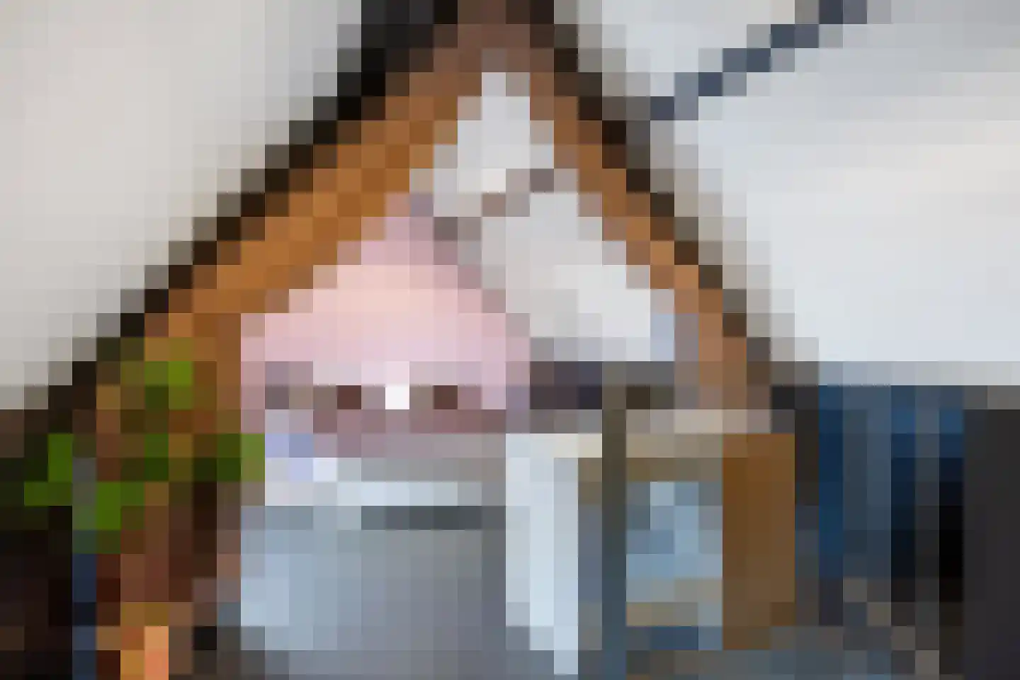 Leeuwerik 31 Grootegast thumbnail 32