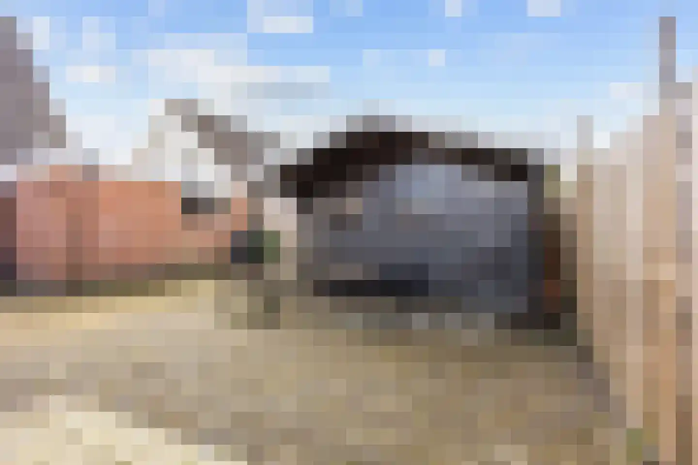 Leeuwerik 31 Grootegast thumbnail 36