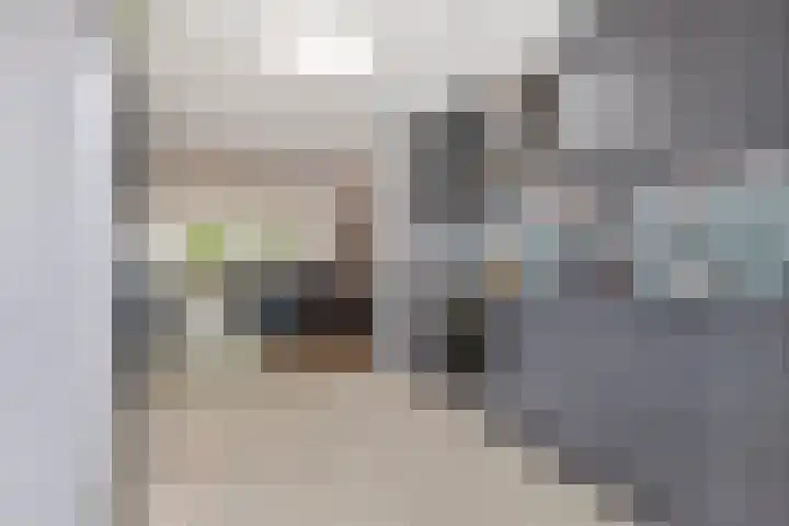 Leeuwerik 33 Veenendaal thumbnail 10
