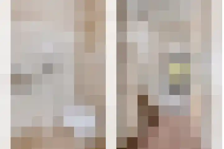 Leeuwerik 33 Veenendaal thumbnail 13