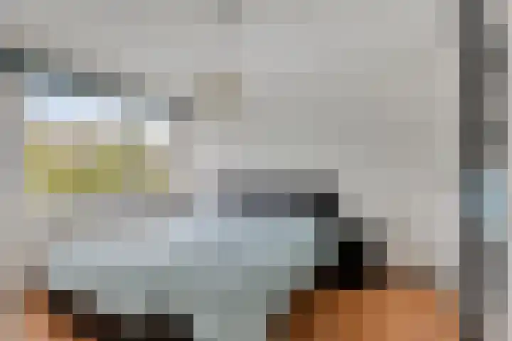 Leeuwerik 33 Veenendaal thumbnail 14