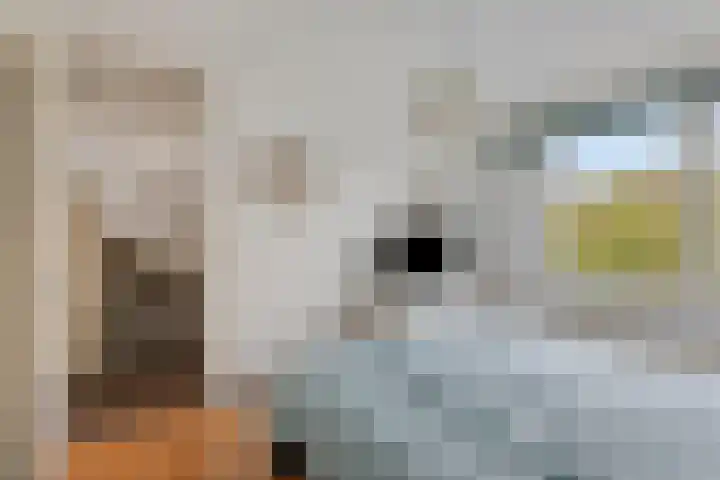 Leeuwerik 33 Veenendaal thumbnail 15