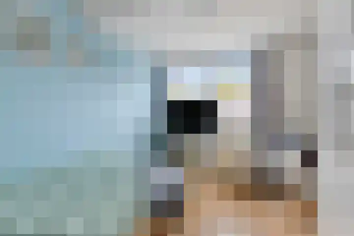Leeuwerik 33 Veenendaal thumbnail 17