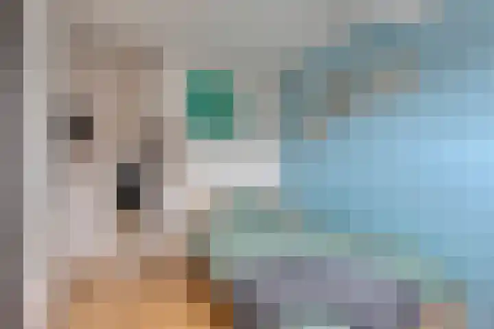 Leeuwerik 33 Veenendaal thumbnail 18
