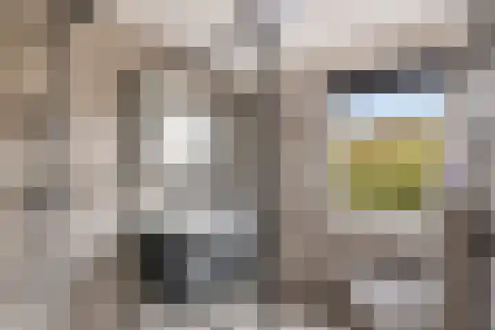 Leeuwerik 33 Veenendaal thumbnail 19