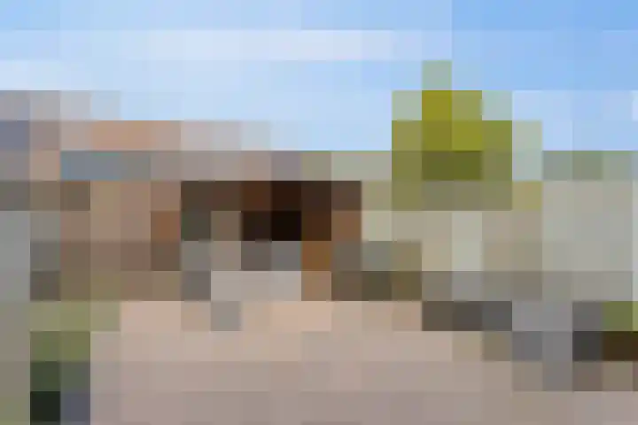Leeuwerik 33 Veenendaal thumbnail 22