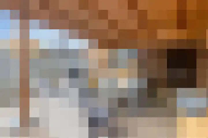 Leeuwerik 33 Veenendaal thumbnail 23