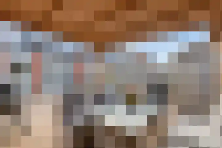 Leeuwerik 33 Veenendaal thumbnail 24