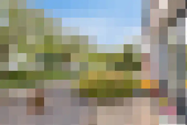 Leeuwerik 33 Veenendaal thumbnail 26