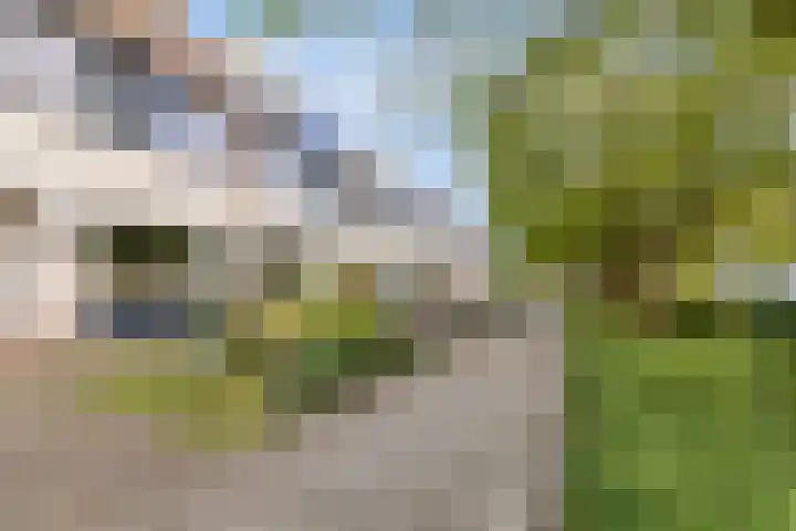 Leeuwerik 33 Veenendaal thumbnail 27