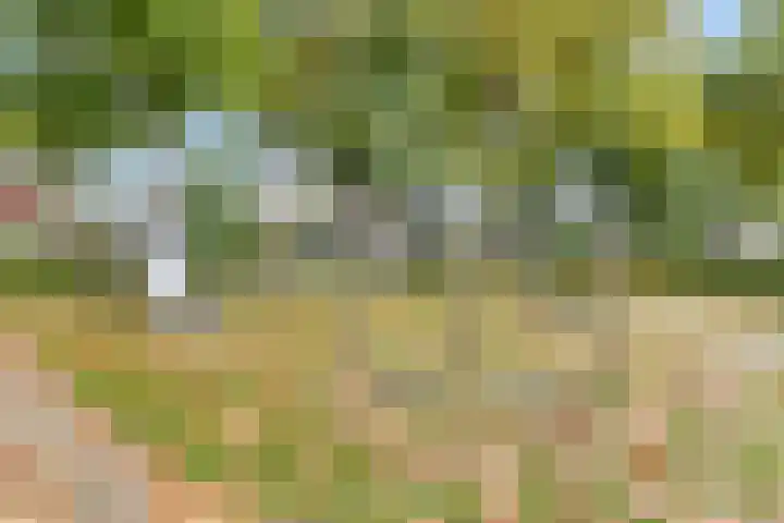 Leeuwerik 33 Veenendaal thumbnail 28