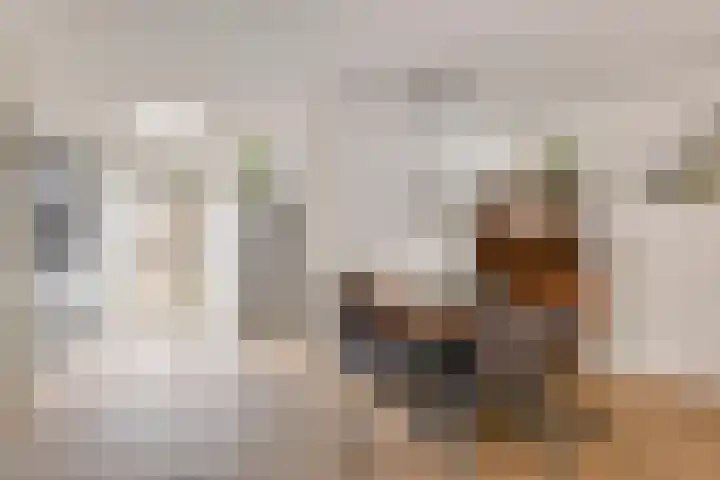 Leeuwerik 33 Veenendaal thumbnail 8