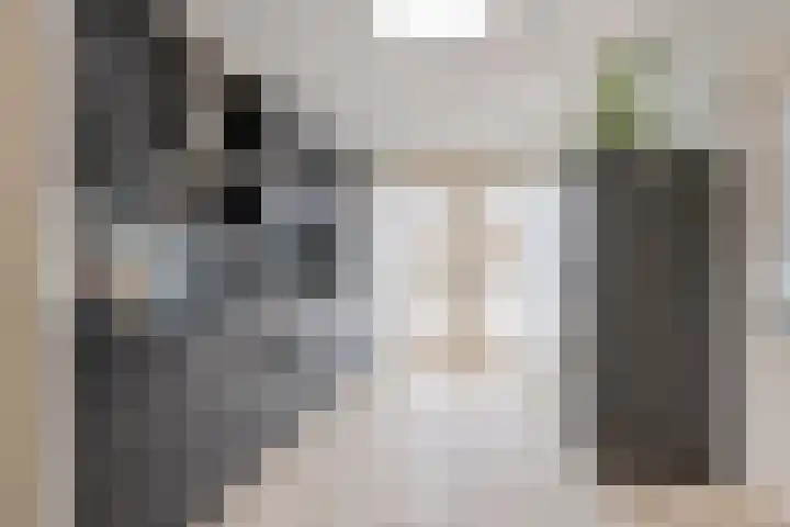 Leeuwerik 33 Veenendaal thumbnail 9