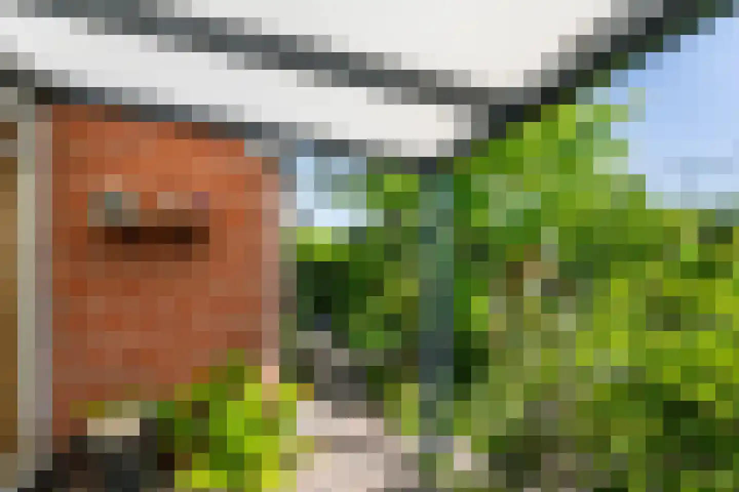 Leeuwerik 35 Kwintsheul thumbnail 13
