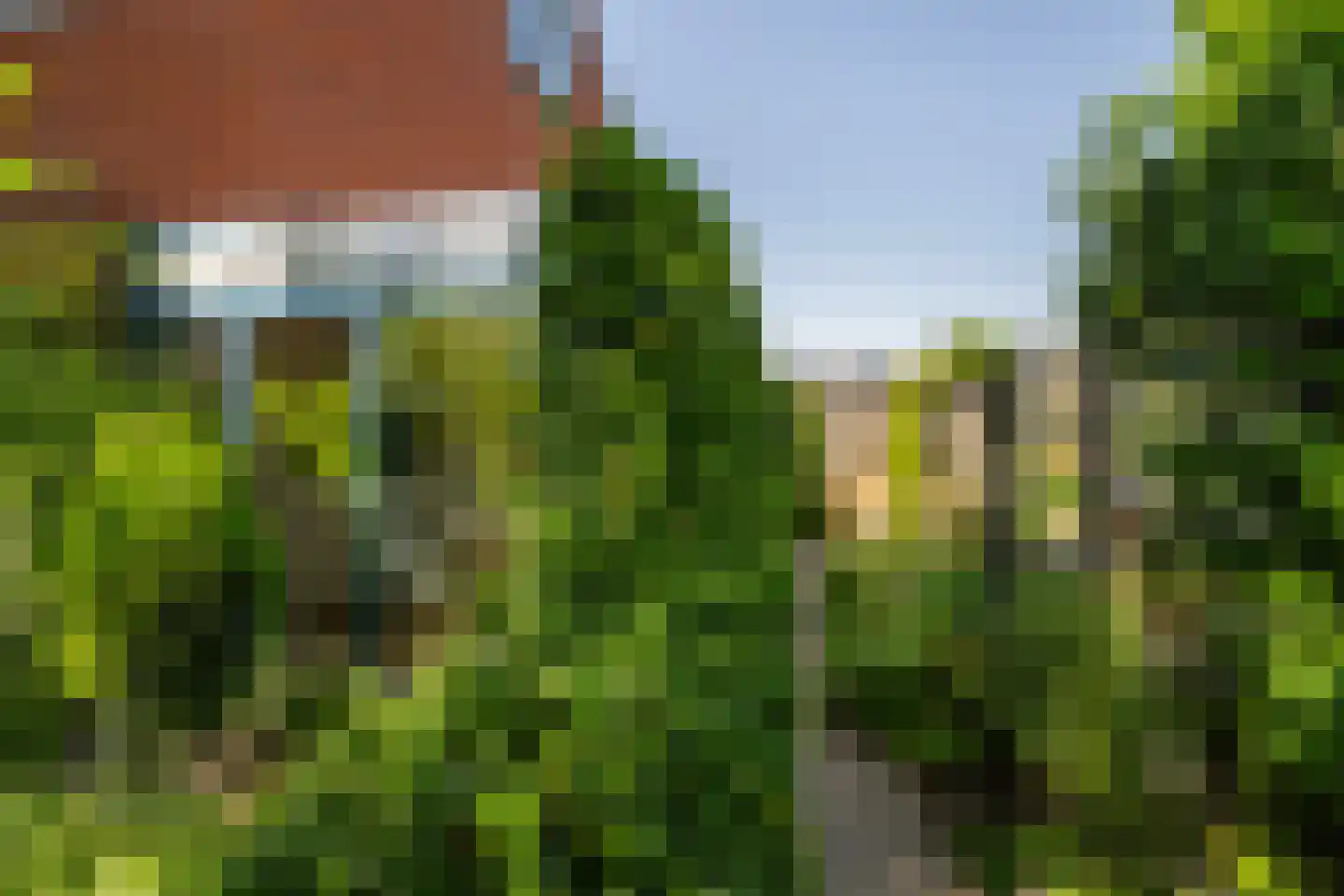 Leeuwerik 35 Kwintsheul thumbnail 21