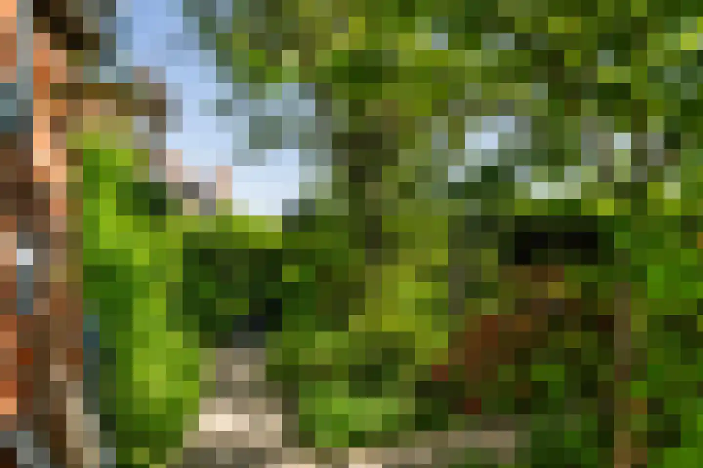 Leeuwerik 35 Kwintsheul thumbnail 23