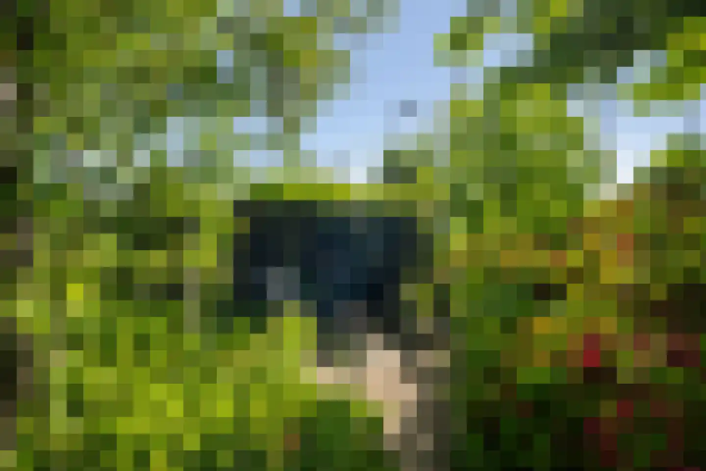 Leeuwerik 35 Kwintsheul thumbnail 24