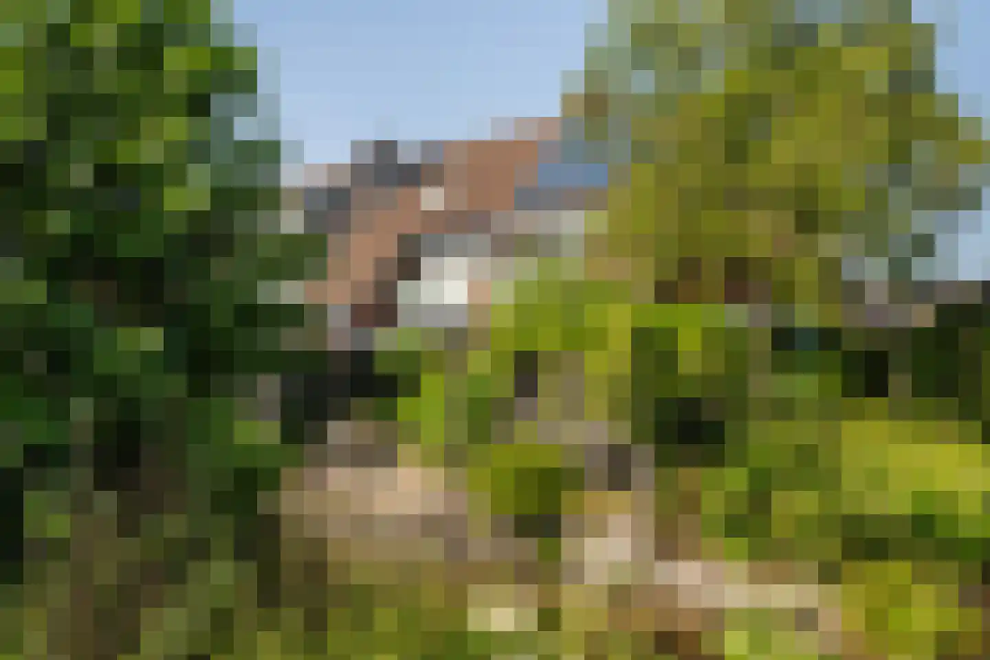 Leeuwerik 35 Kwintsheul thumbnail 27