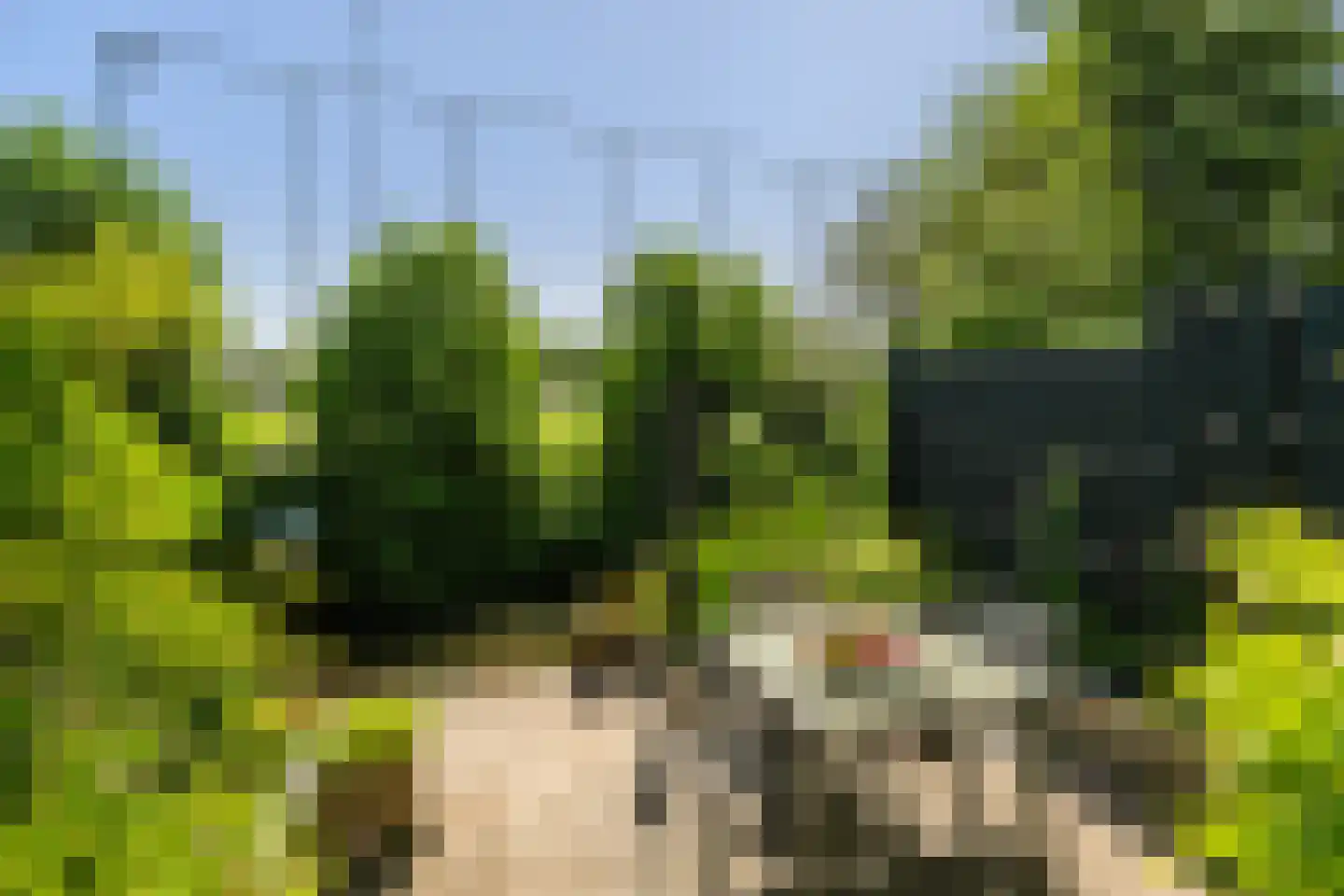 Leeuwerik 35 Kwintsheul thumbnail 28