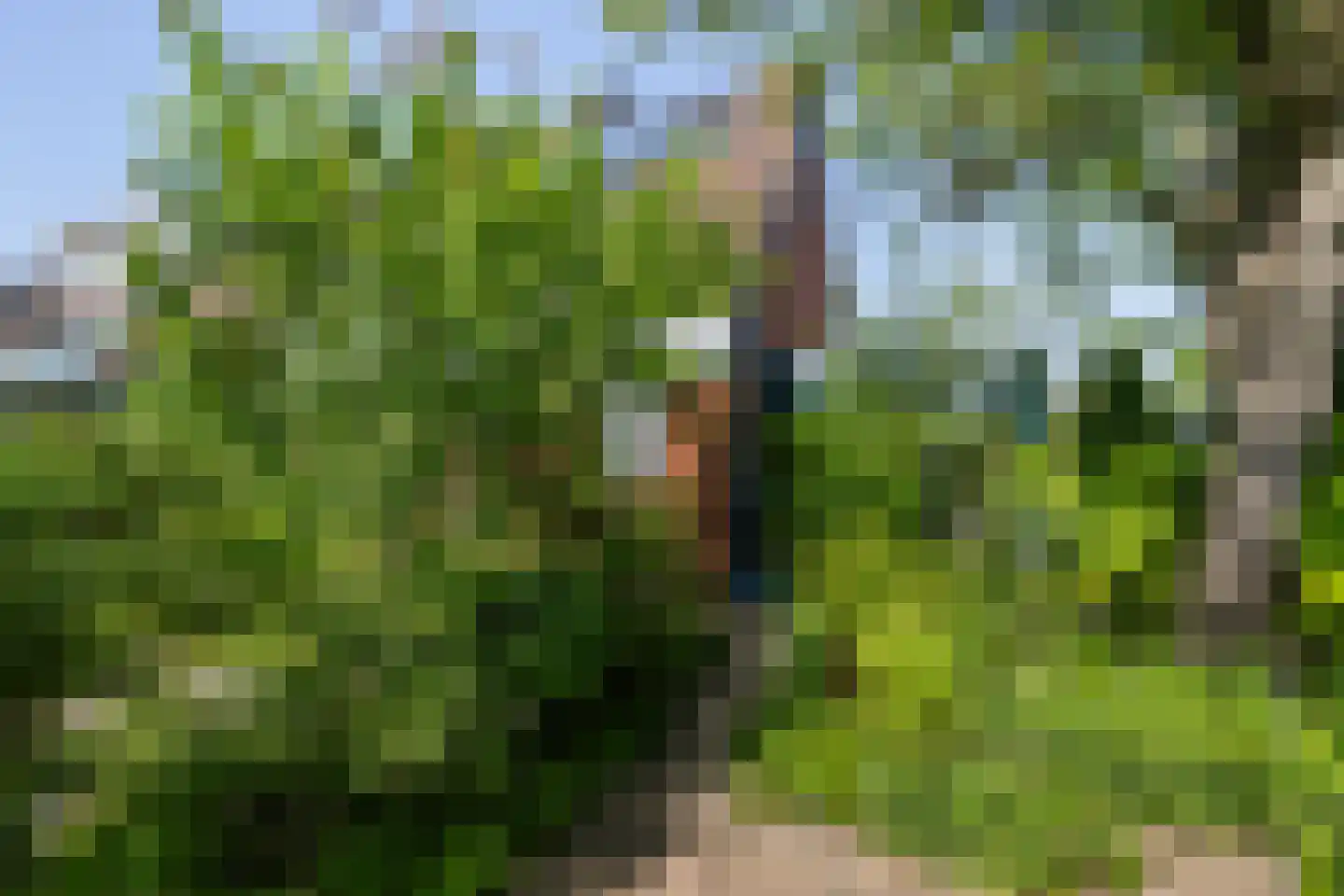 Leeuwerik 35 Kwintsheul thumbnail 29