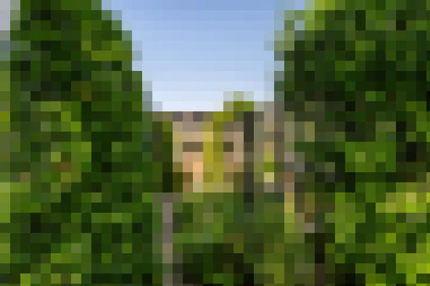 Leeuwerik 35 Kwintsheul thumbnail 30