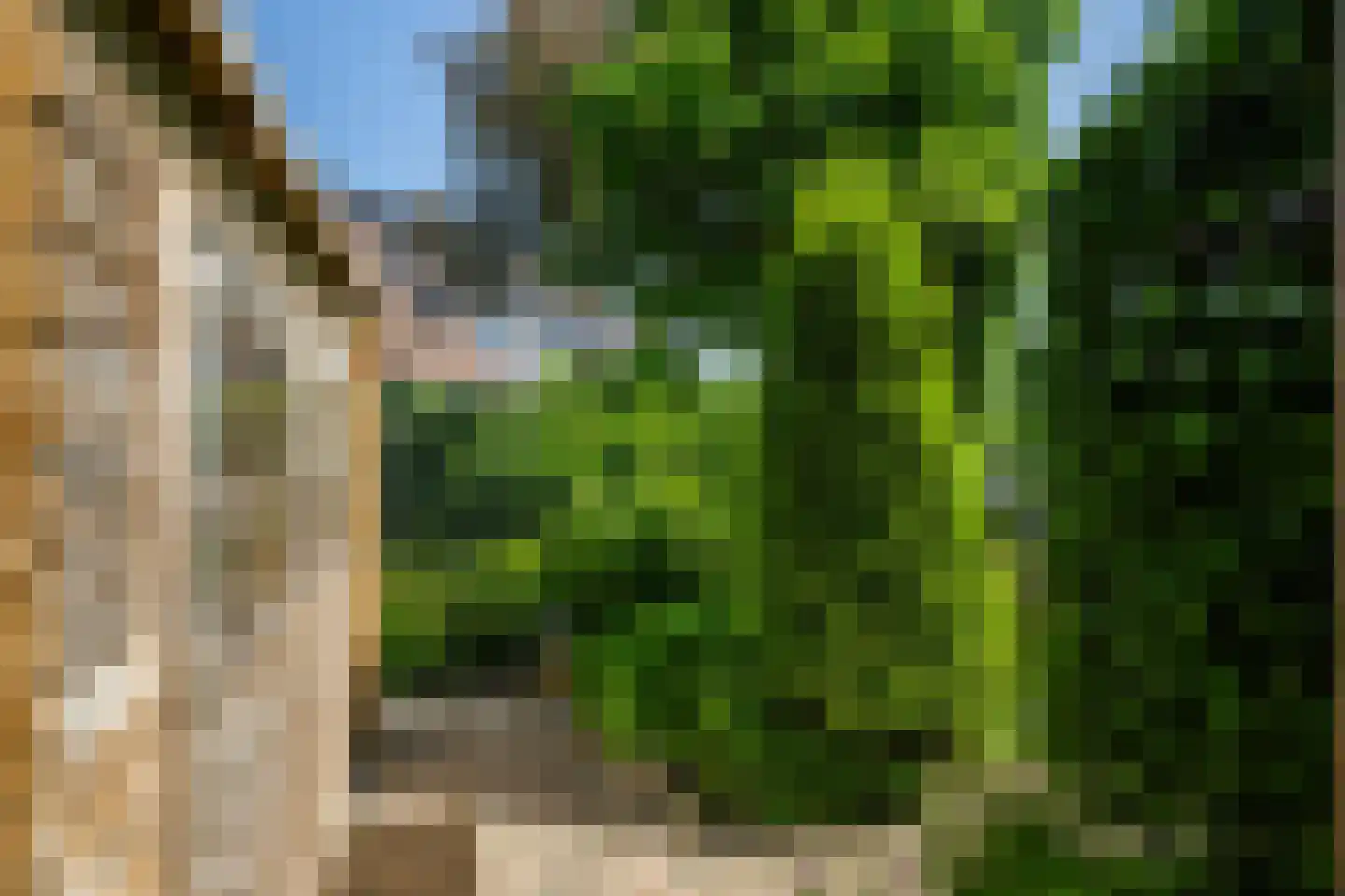 Leeuwerik 35 Kwintsheul thumbnail 33