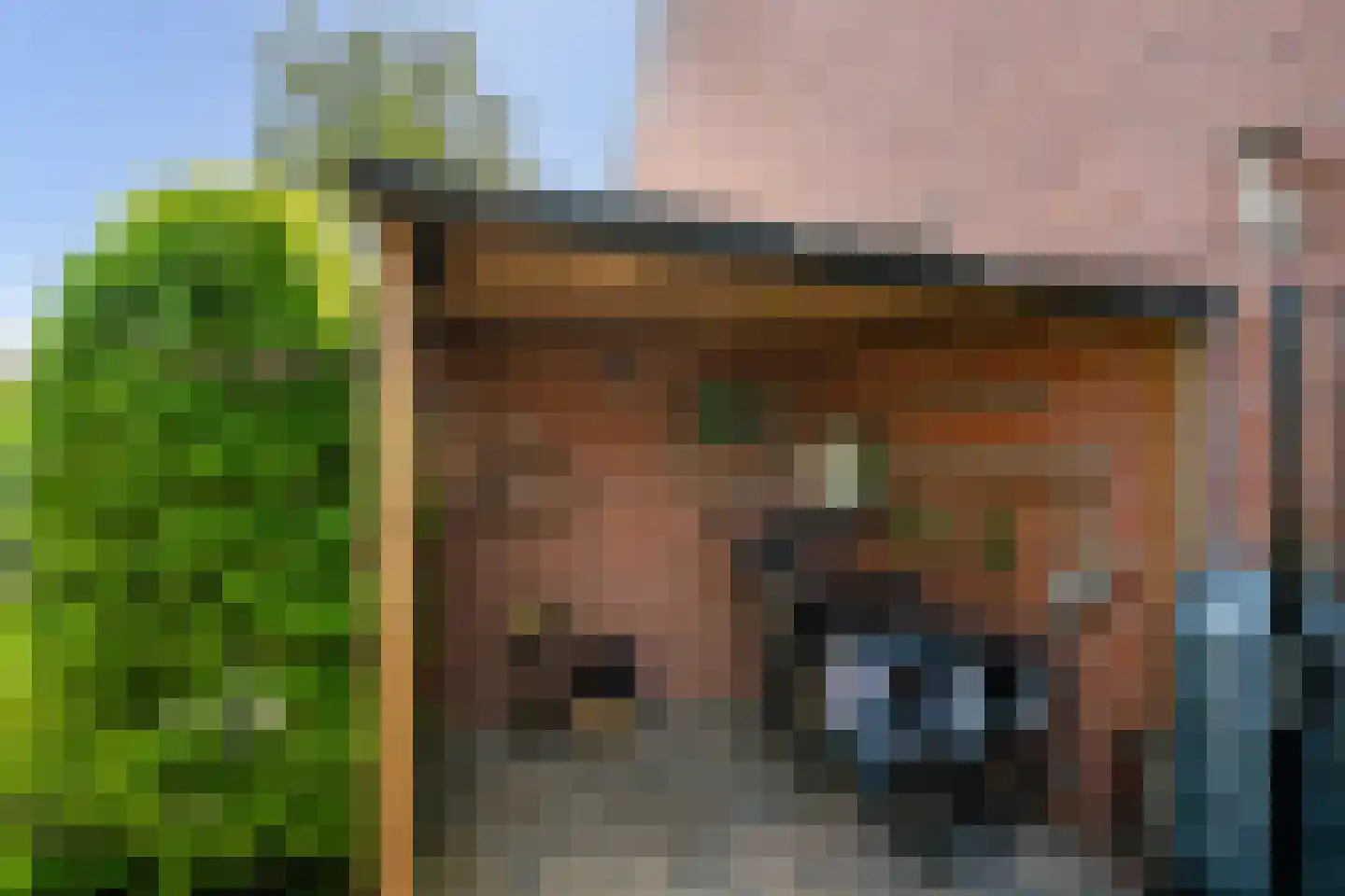Leeuwerik 35 Kwintsheul thumbnail 34