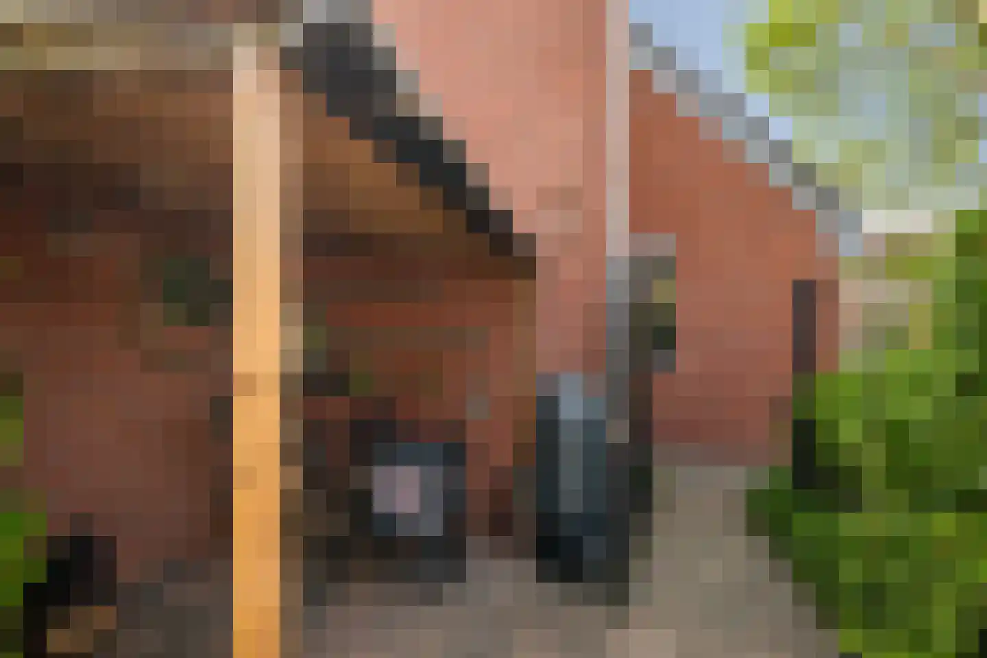 Leeuwerik 35 Kwintsheul thumbnail 35