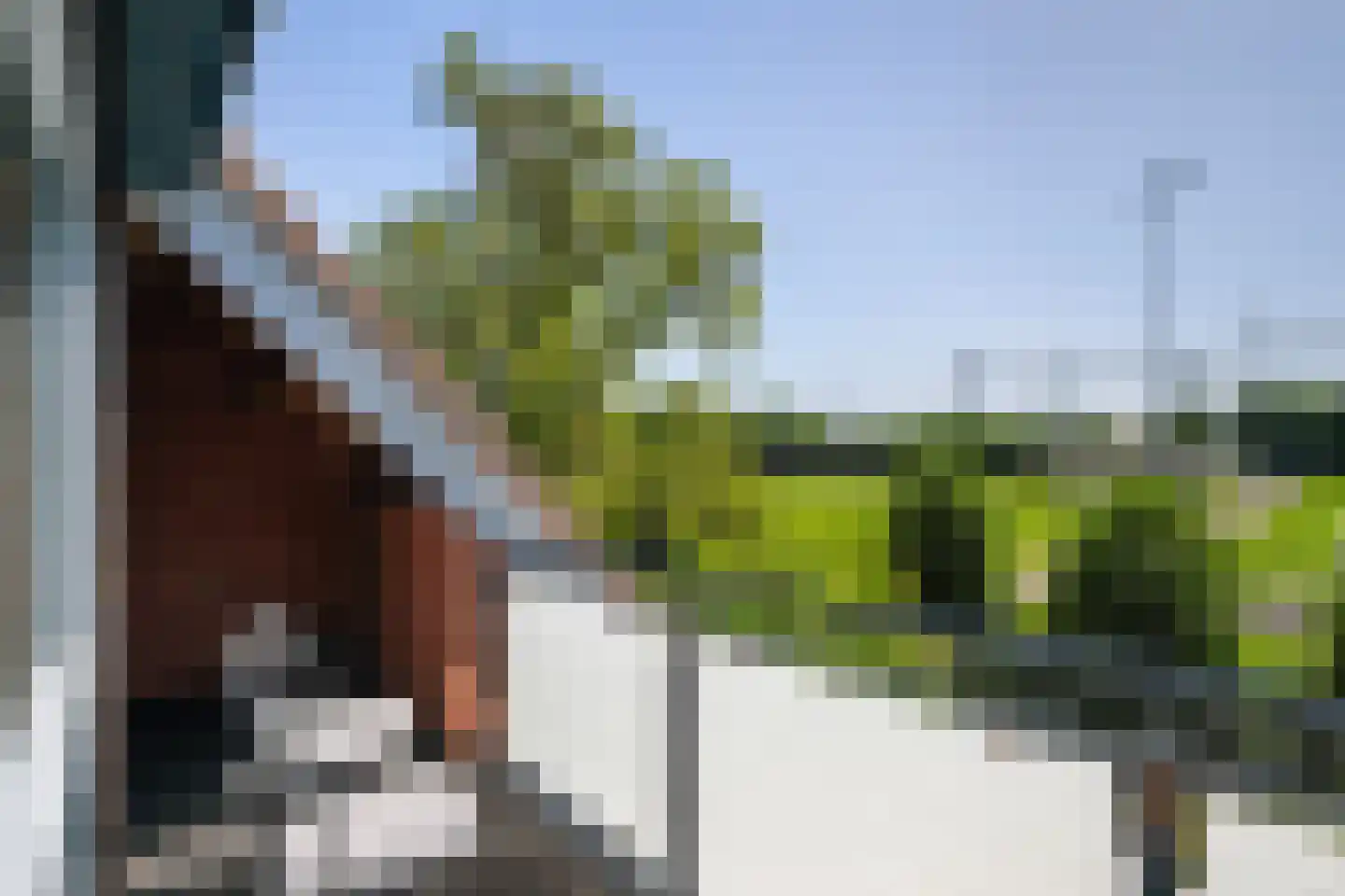 Leeuwerik 35 Kwintsheul thumbnail 41
