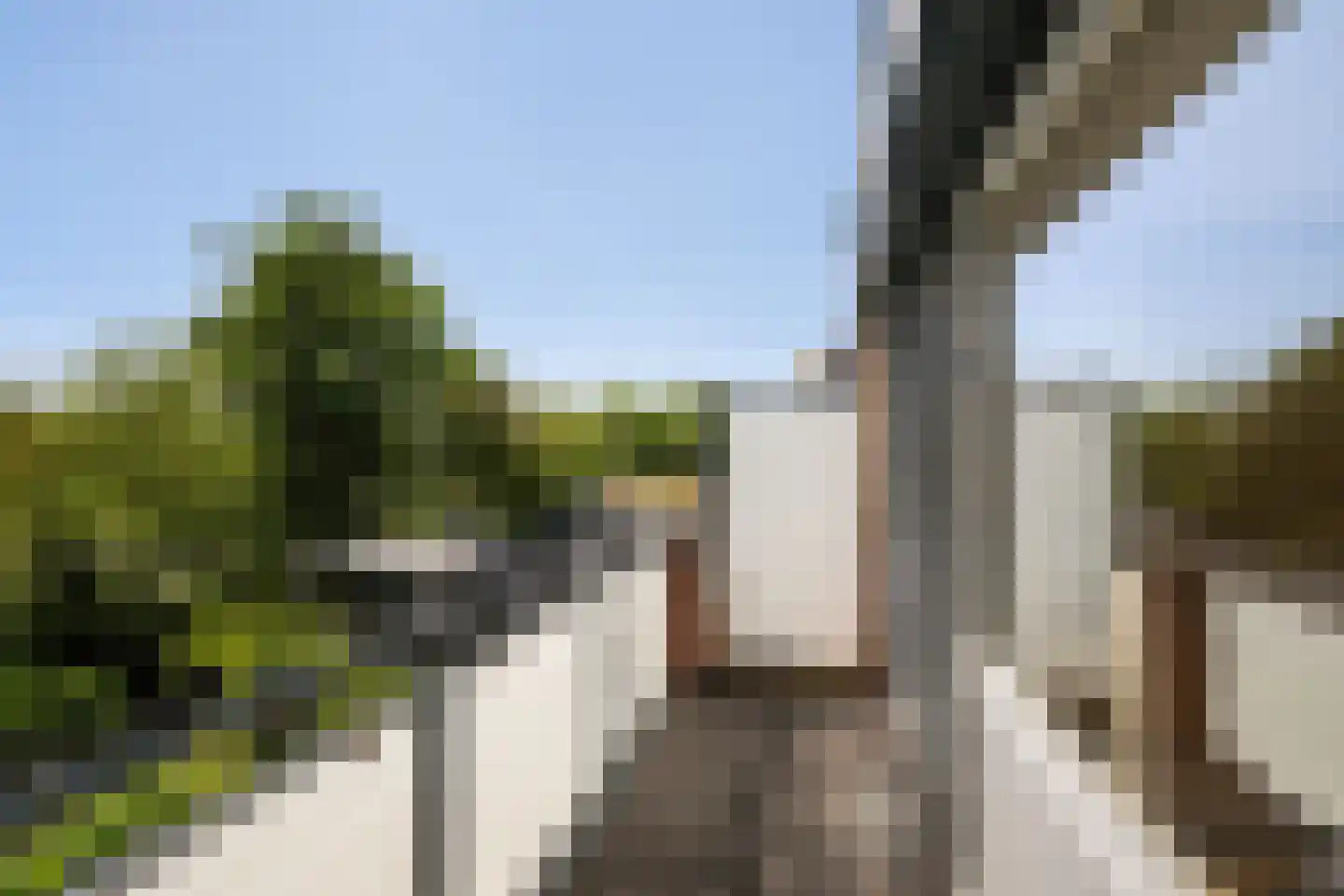 Leeuwerik 35 Kwintsheul thumbnail 42