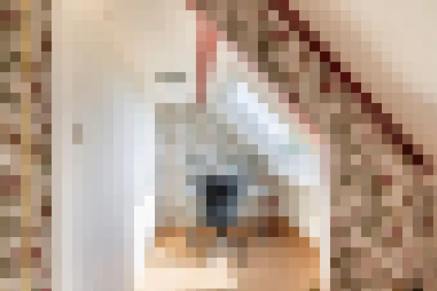 Leeuwerik 35 Kwintsheul thumbnail 51