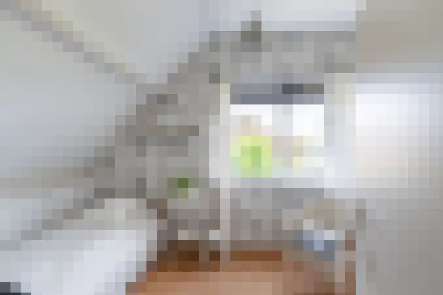 Leeuwerik 35 Kwintsheul thumbnail 53