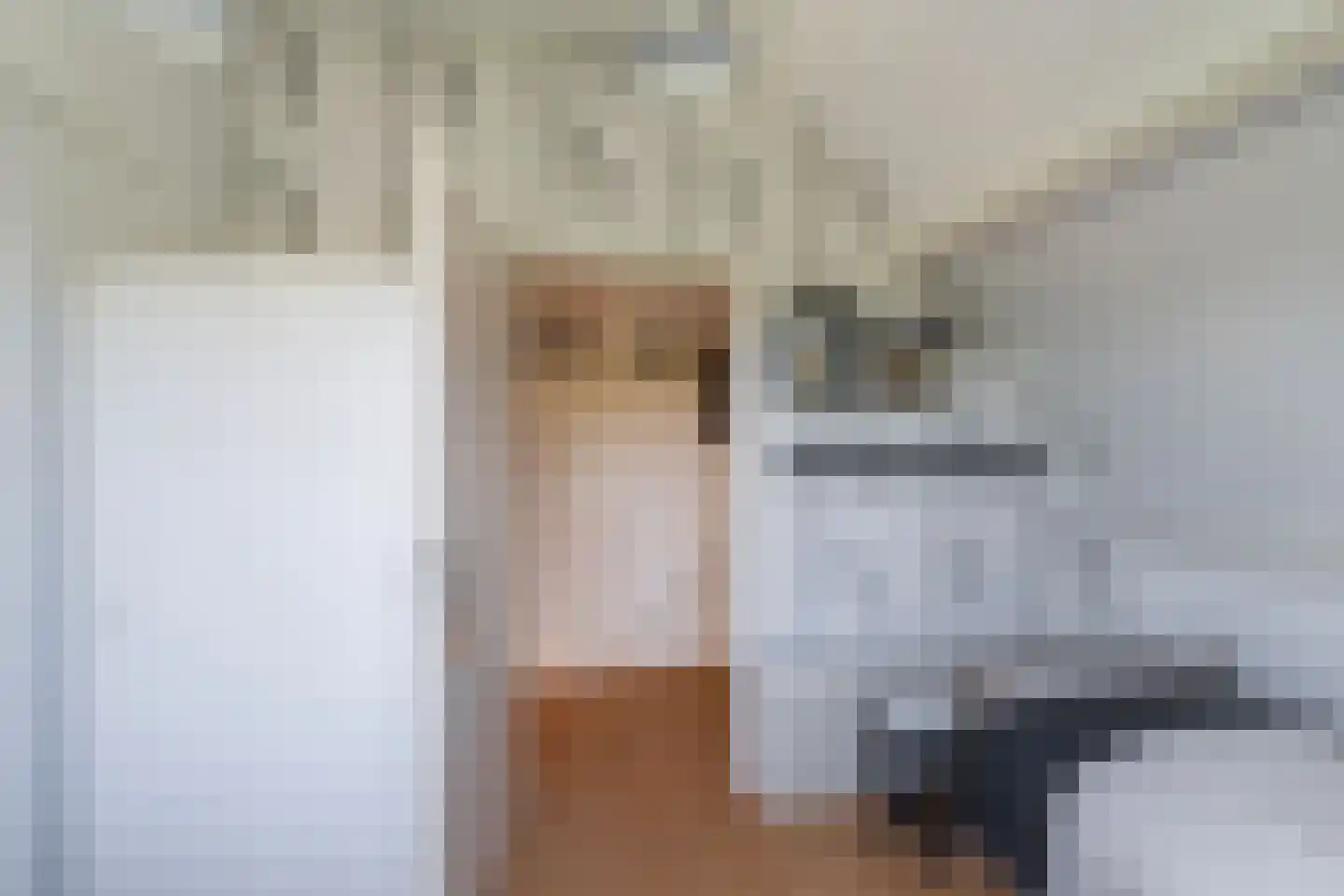 Leeuwerik 35 Kwintsheul thumbnail 55
