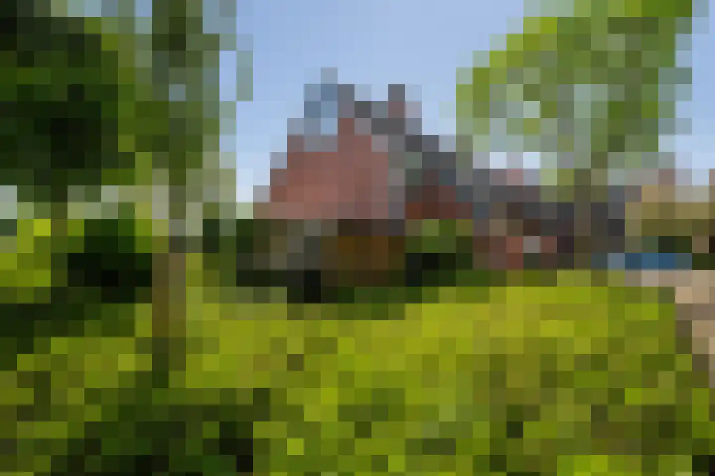 Leeuwerik 35 Kwintsheul thumbnail 56