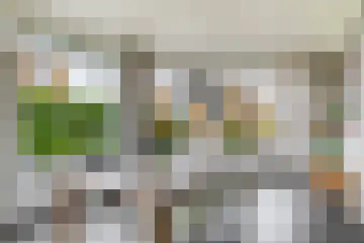 Leeuwerik 4 Lemmer thumbnail 12