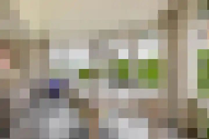 Leeuwerik 4 Lemmer thumbnail 13