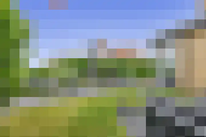 Leeuwerik 4 Lemmer thumbnail 22