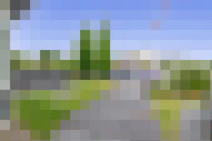 Leeuwerik 4 Lemmer thumbnail 24