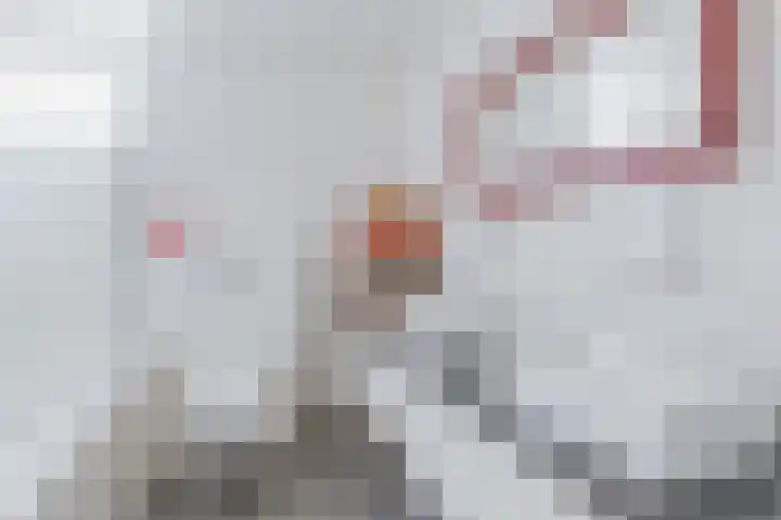 Leeuwerik 4 Lemmer thumbnail 32