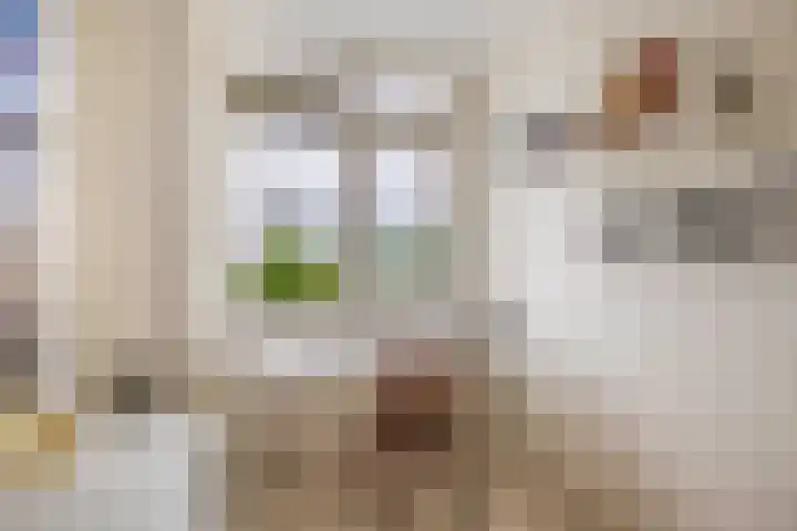 Leeuwerik 4 Lemmer thumbnail 35