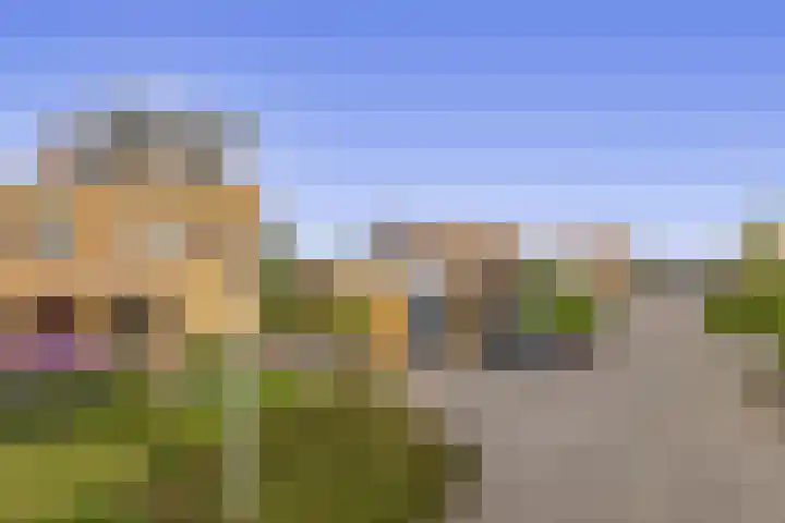 Leeuwerik 4 Lemmer thumbnail 4