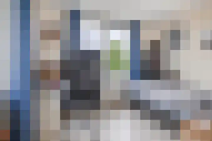 Leeuwerik 4 Lemmer thumbnail 40