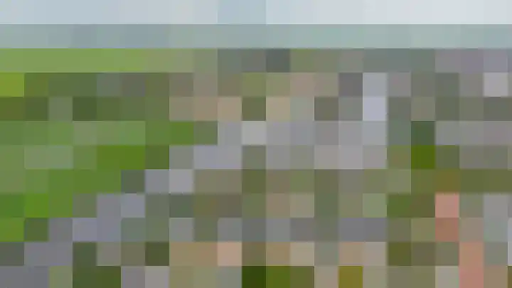 Leeuwerik 4 Lemmer thumbnail 45